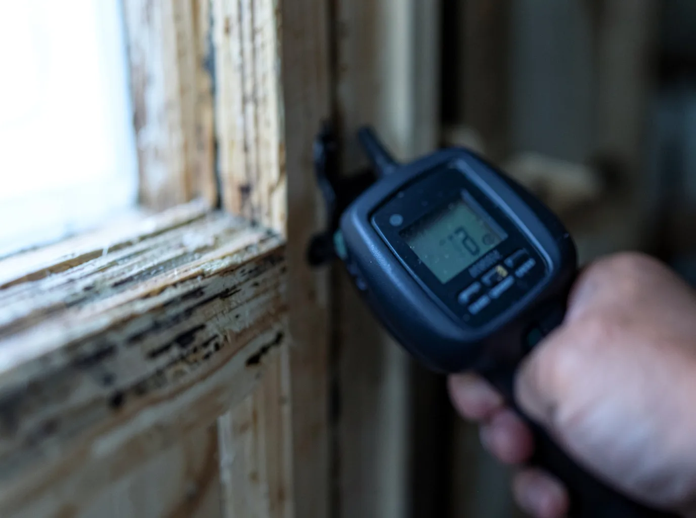 Water Damage Restoration Nutrioso, AZ FAQs